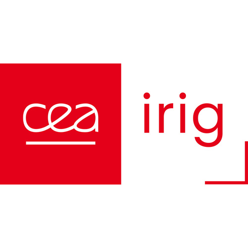 CEA IRIG Logo